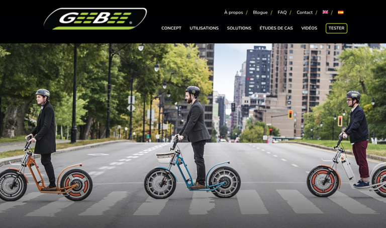 GEEBEE professional e-scooter