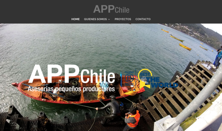 APP Chile