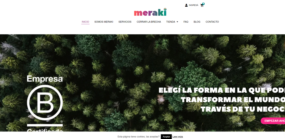 Transform Your Business for a Sustainable Future with Meraki Consulting