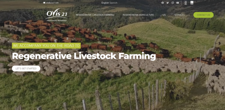 Pioneering Regenerative Livestock Farming: Ovis21’s Impact in Argentina