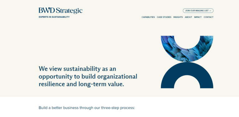 Building a Sustainable Future: How BWD Strategic Empowers Organizations