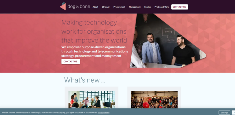 Empowering Not-for-Profits Through Technology: Discover the Impact Program by Dog & Bone