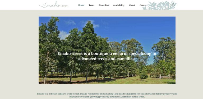 Embrace Sustainability with Emaho Trees: Australian Native Trees and Camellias