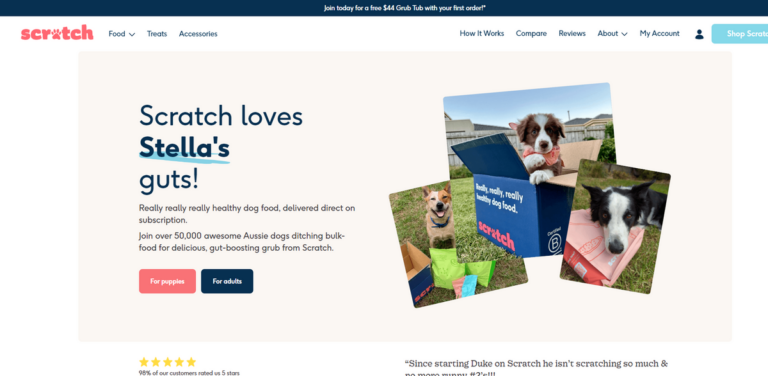 Sustainable Dog Nutrition: Discover the Benefits of Scratch Pet Food