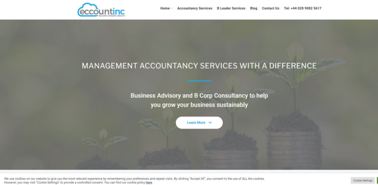 Grow Your Business Sustainably with Eccountinc: Expert Management Accountancy and B Corp Consultancy Services