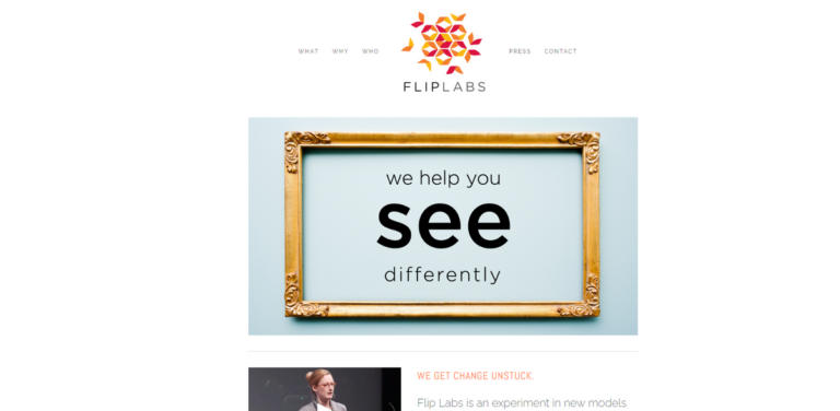 Innovating for Sustainable Change: How Flip Labs is Transforming Systems Thinking