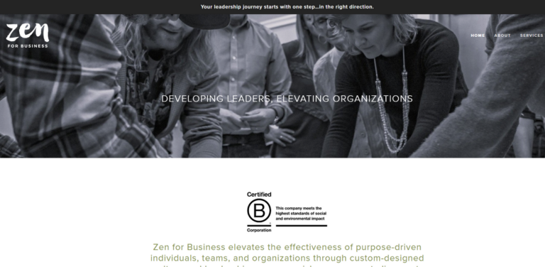 Zen For Business: Empowering Organizations for Sustainable Growth and Leadership Development