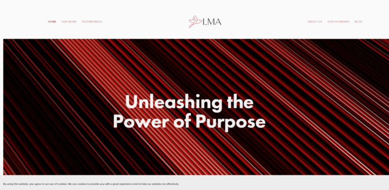 Empowering Sustainable Change: How LMA Consultants Drive Social Impact