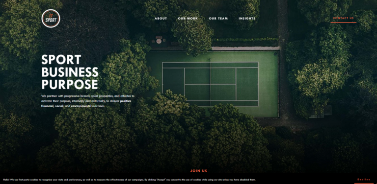 17 Sport: Merging Purpose and Profit in the Sports Industry
