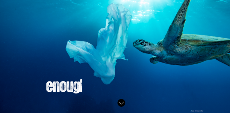 Ape2o: A Sustainable Solution to Plastic Water Bottles