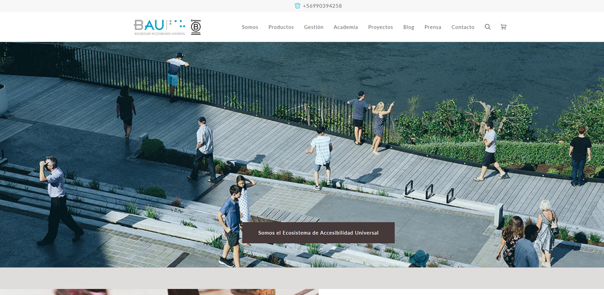BAU ACCESIBILIDAD