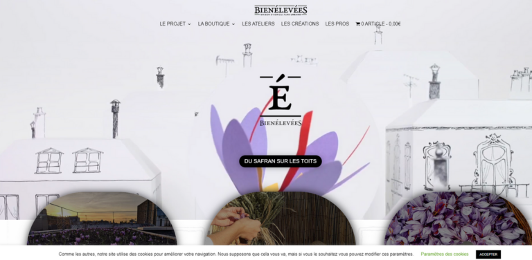 BienElevées: Transforming Urban Rooftops into Green Oases
