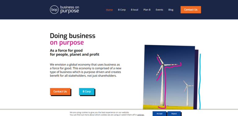 Business on Purpose: Transforming Companies for a Sustainable Future