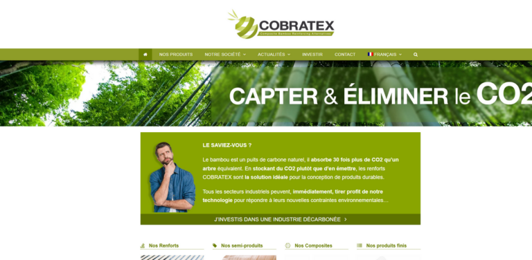 Cobratex: Innovating Sustainable Bamboo Reinforcements for a Greener Future