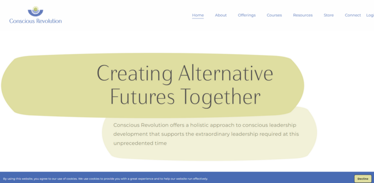 Conscious Revolution: Embracing Holistic Leadership for a Sustainable Future