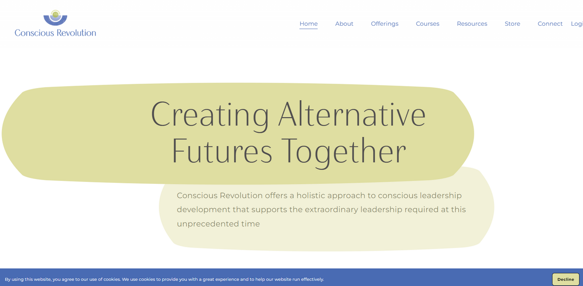 Conscious Leadership