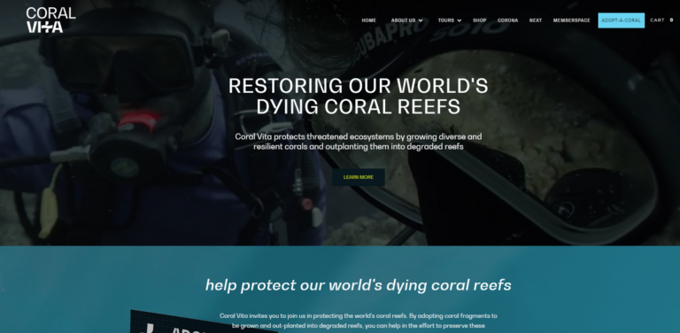 Coral Vita: Restoring Coral Reefs for a Sustainable Future