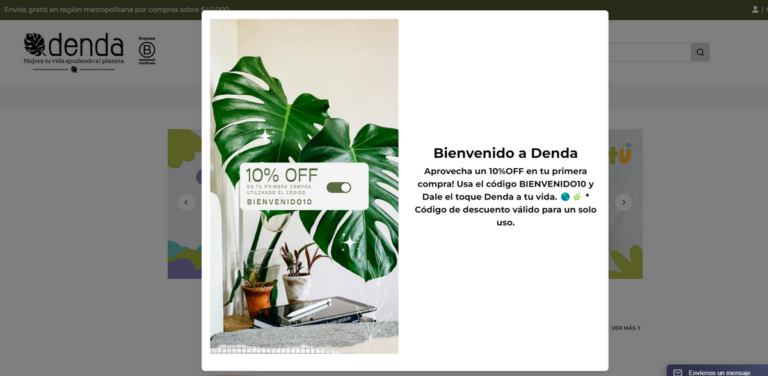 Denda: Your Go-To Destination for Eco-Friendly Retail