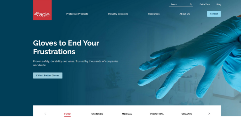 Eagle Protect: Ensuring Safety and Sustainability in Disposable Gloves