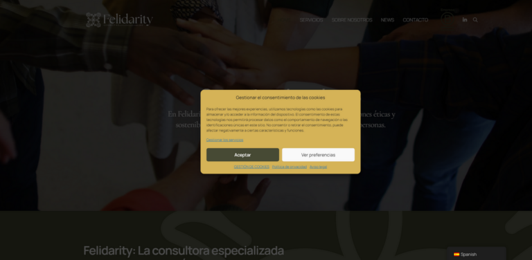 Felidarity: Building Ethical and Sustainable Brands
