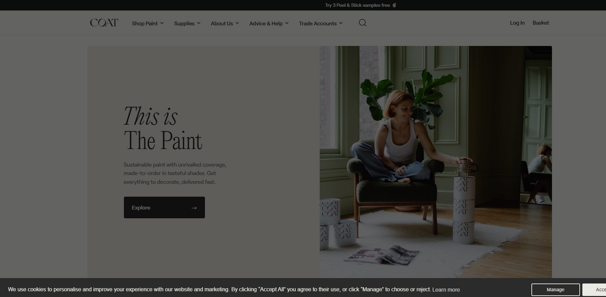 sustainable decorative paints