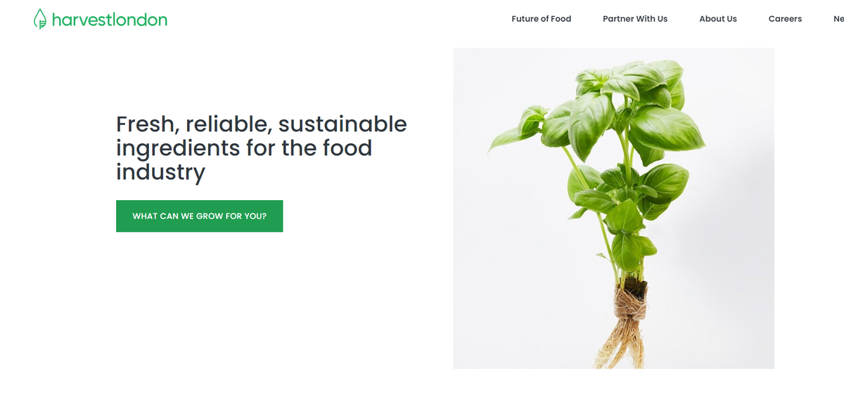 Harvest London: A New Era of Sustainable Agriculture