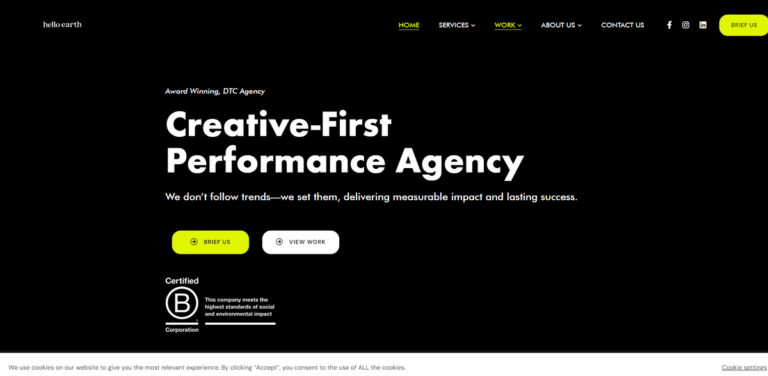 Hello Earth Agency: Elevating Creative Performance for DTC Brands