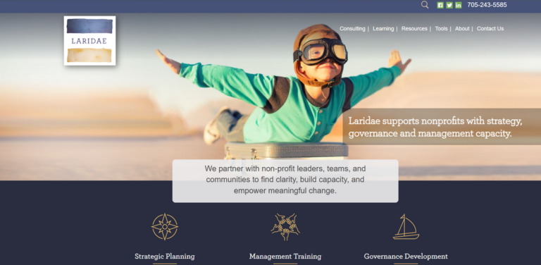 Laridae’s Nonprofit Consulting Initiative: Empowering Change Through Strategic Capacity