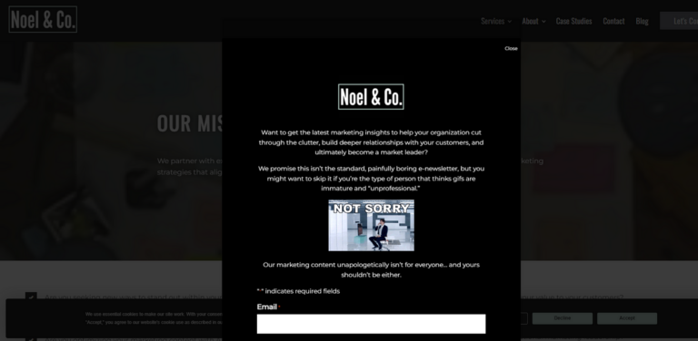 Noel & Co. Empowers Brands with Customer-Centric Marketing Strategies