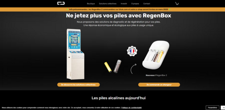 RegenBox: A Sustainable Approach to Alkaline Battery Regeneration