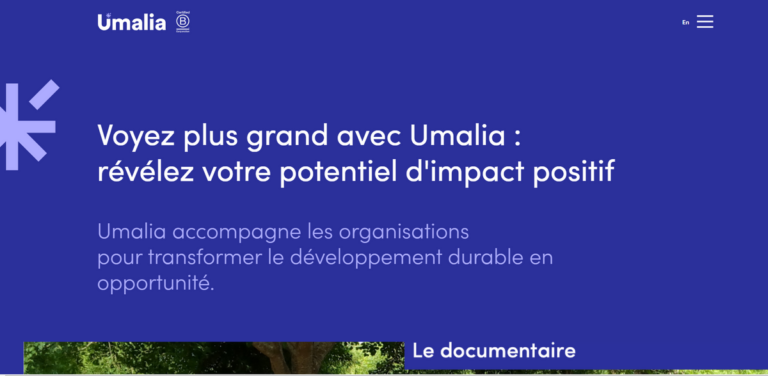 UMALIA: Transforming Sustainable Development into Opportunity