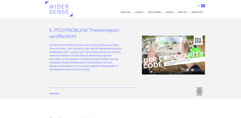 Wider Sense: Transforming Corporate Social Responsibility for Lasting Impact