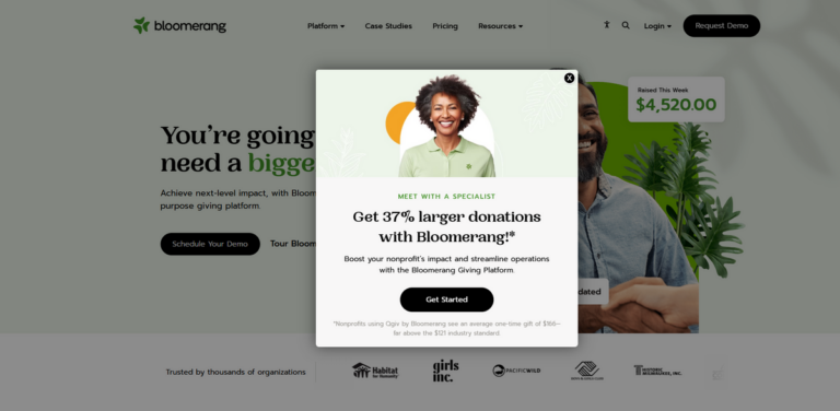 Bloomerang: Comprehensive Donor Management Software for Nonprofits