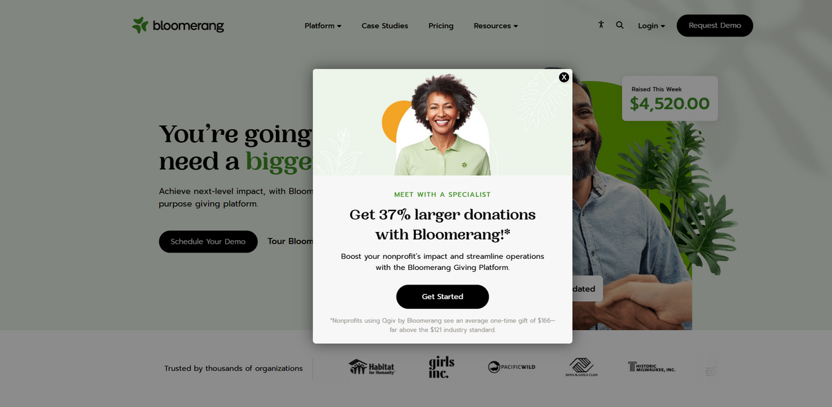 Bloomerang donor management software