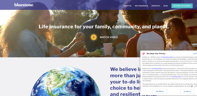 Bluestone Life: Transforming Life Insurance into a Force for Good