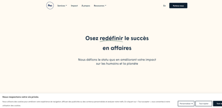 Boite Pac: Elevating Business Impact Through Strategic Management Consulting