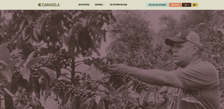 Caravela Coffee: Elevating Specialty Coffee Through Fair Trade and Quality