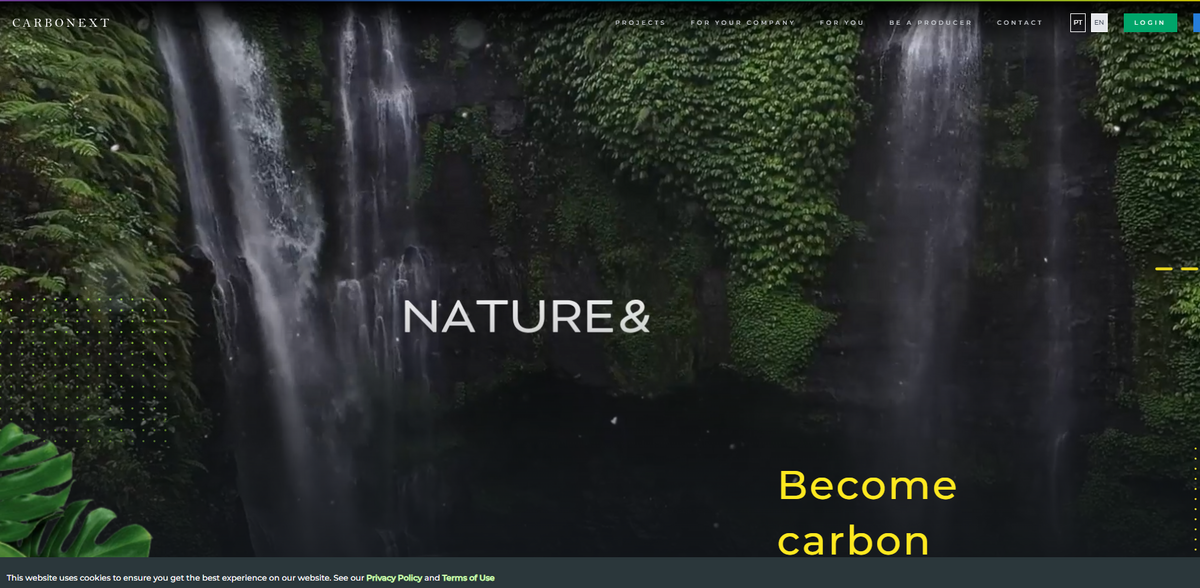 Carbonext decarbonization strategies