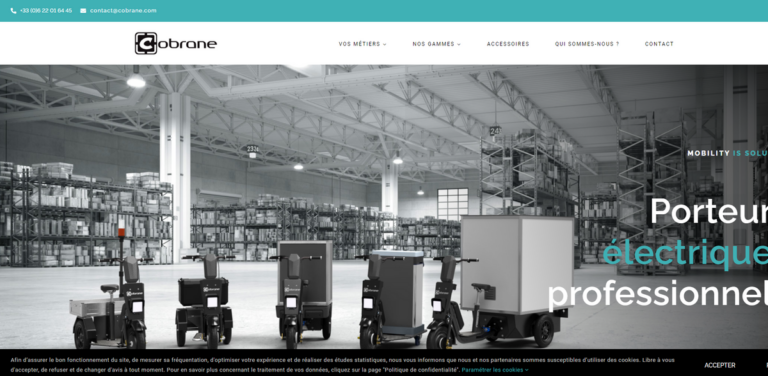 Cobrane Design: Innovative Electric Tricycles for Urban and Industrial Mobility