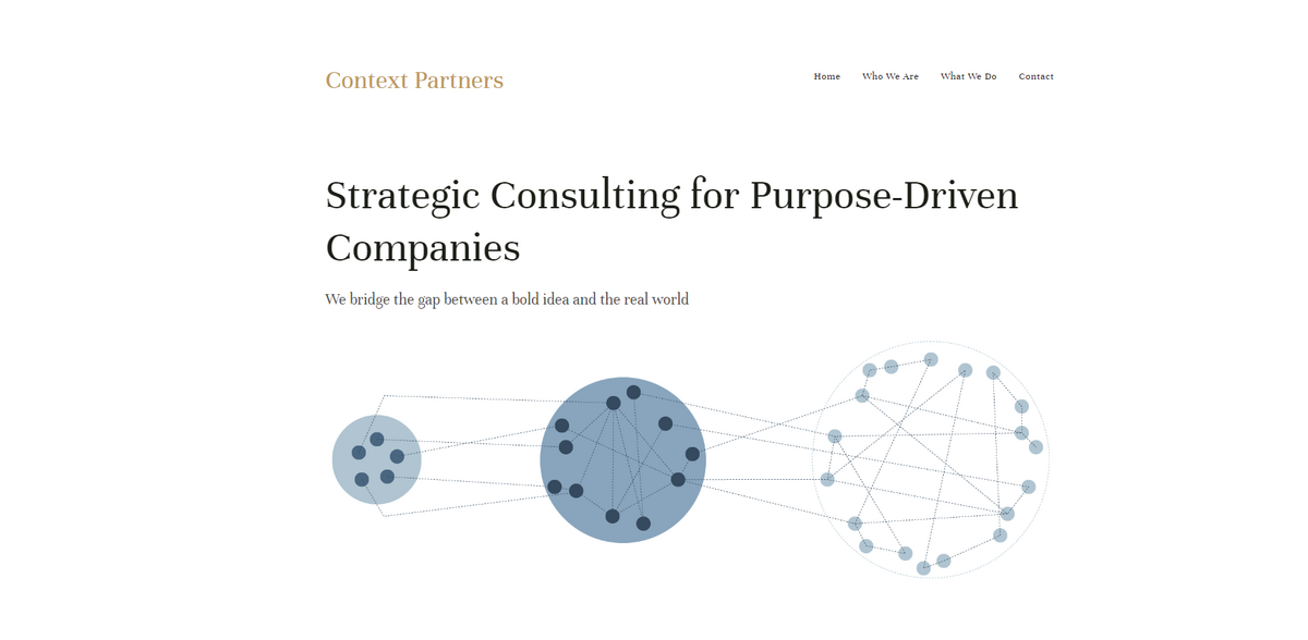 strategic consulting for purpose-driven companies