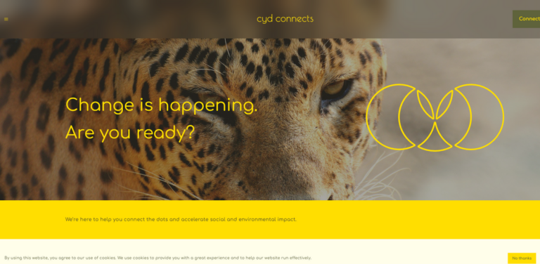 Cyd Connects: Empowering Businesses for Sustainable Impact