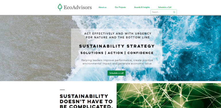 EcoAdvisors: Guiding Capital Towards Sustainable Solutions