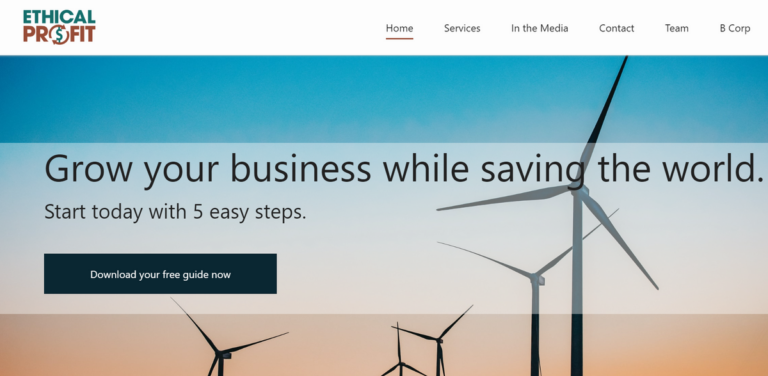 Ethical Profit Agency: Helping Businesses Grow Sustainably