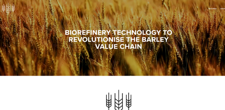 Grainstone: Transforming Brewer’s Spent Grain into Sustainable Food Solutions