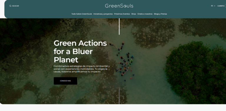 GreenSouls: Integrating Sustainability Strategies with Purpose-Driven Marketing