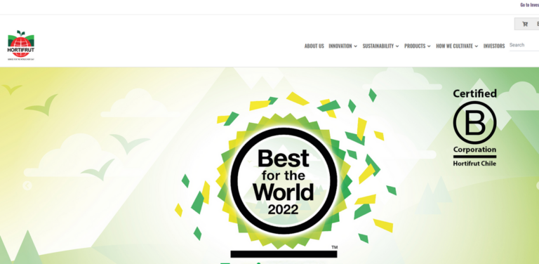 Hortifrut: Global Leader in Berry Production and Marketing