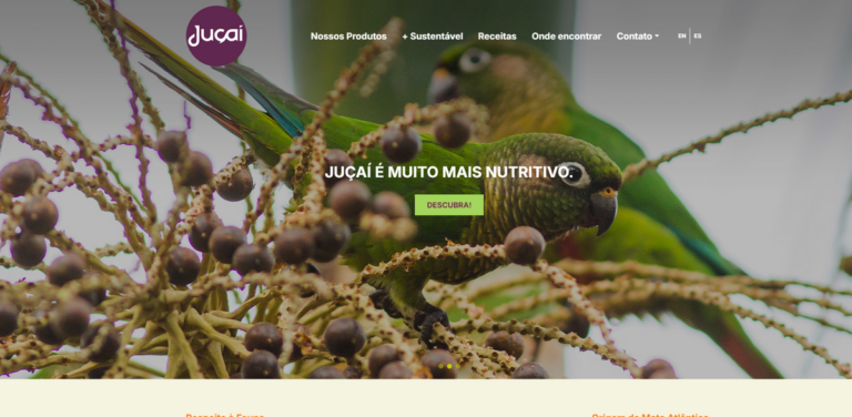 Juçaí: A Nutrient-Rich Superfood from the Atlantic Forest