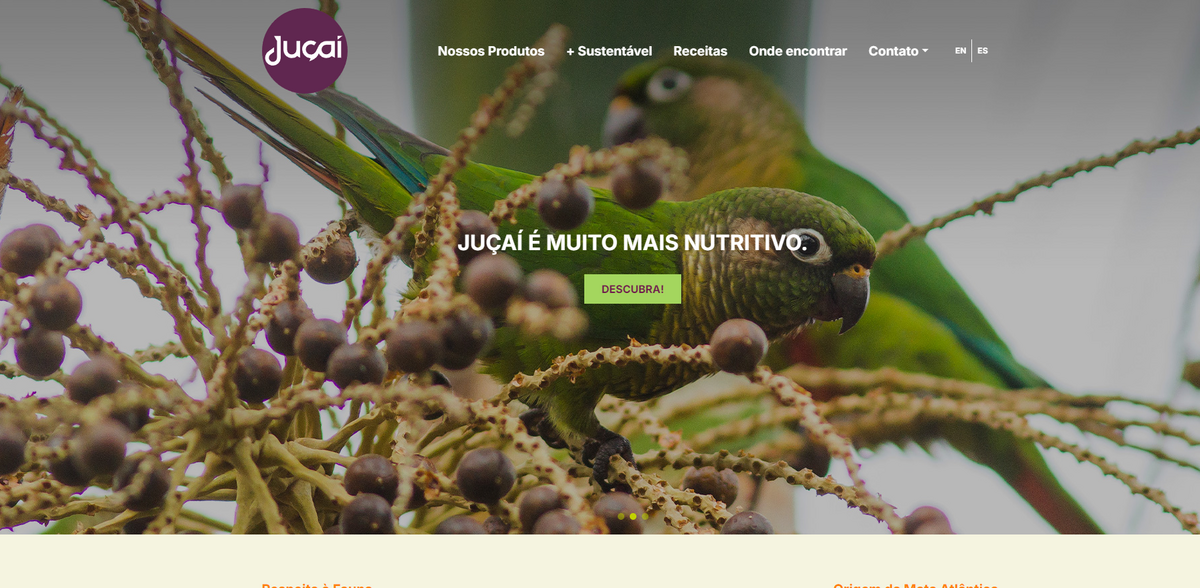 Juçaí superfood