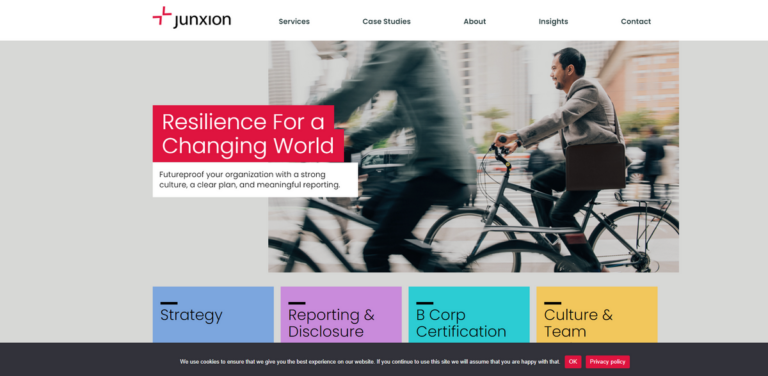 Junxion: Management Consulting for Sustainable Growth and Resilience
