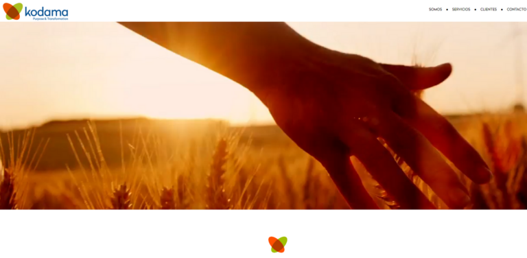 Kodama Consultores: Tailored Sustainability Consulting for Businesses in Chile